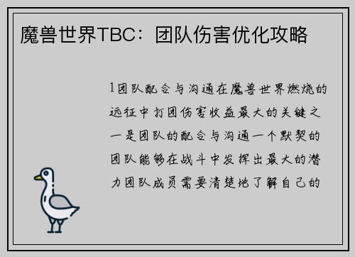 魔兽世界TBC：团队伤害优化攻略