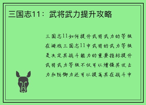 三国志11：武将武力提升攻略