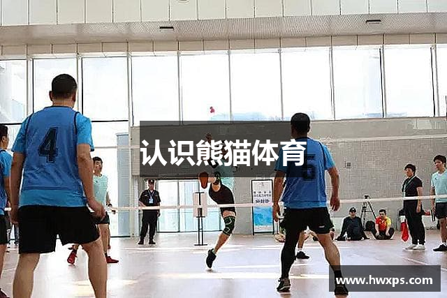 认识熊猫体育